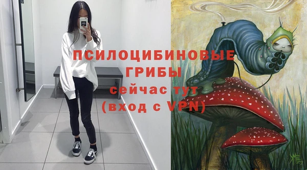 твердый Володарск