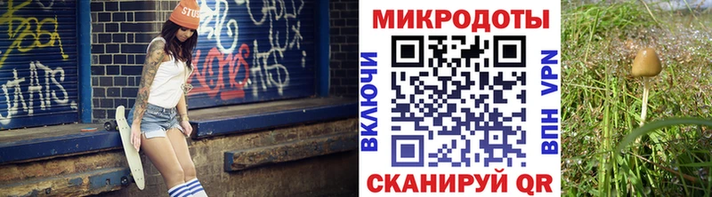 Галлюциногенные грибы Psilocybe  продажа наркотиков  Заводоуковск 